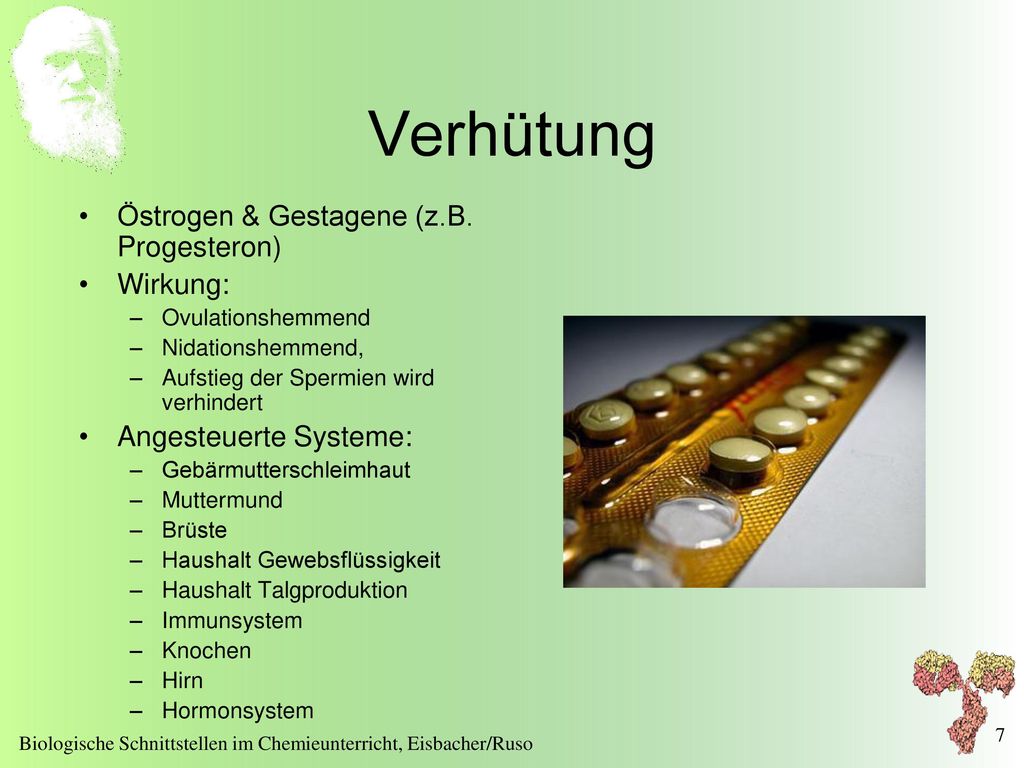 Verhütung Östrogen & Gestagene (z.B. Progesteron) Wirkung: