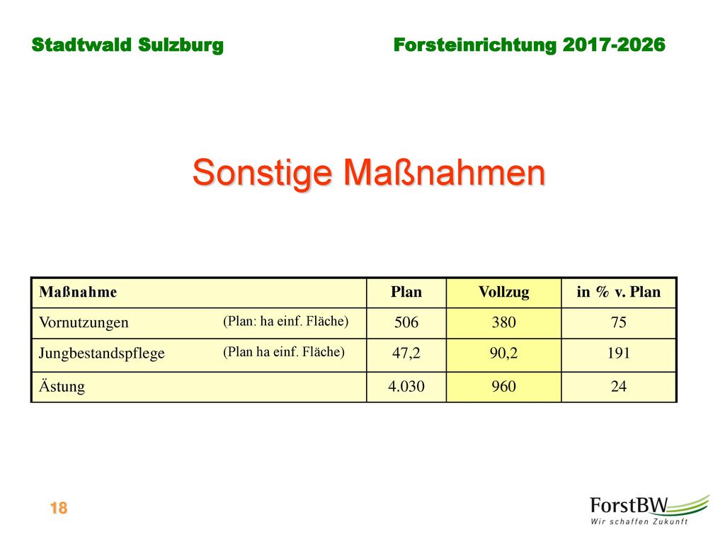 Sonstige Maßnahmen Maßnahme Plan Vollzug in % v. Plan Vornutzungen 506