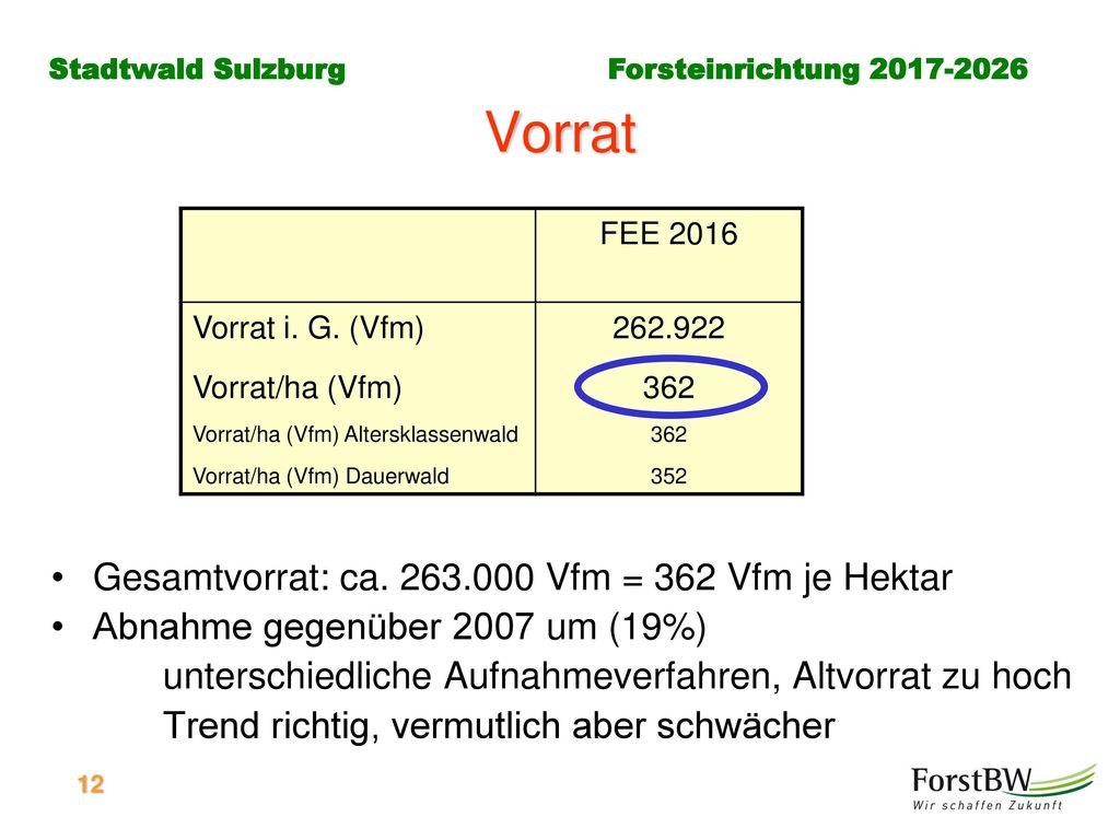 Vorrat Gesamtvorrat: ca Vfm = 362 Vfm je Hektar