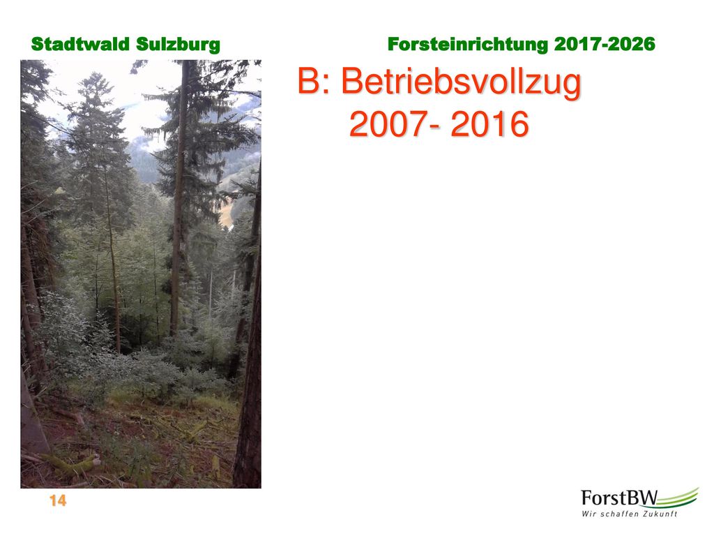 B: Betriebsvollzug In der Tischvorlage waren das Jahr 2003 noch nicht voll eingearbeitet.