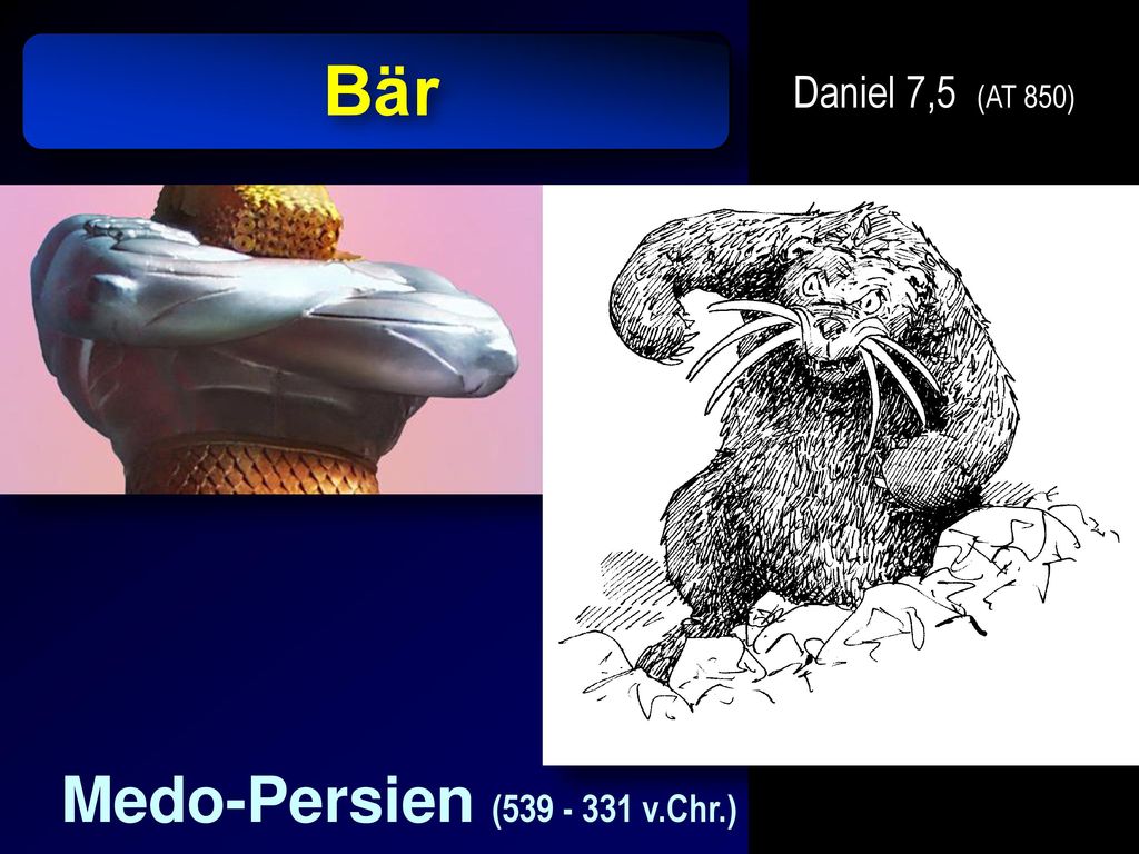Bär Daniel 7,5 (AT 850) (Text im Bild) Medo-Persien ( v.Chr.)