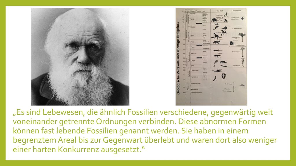 „Es sind Lebewesen, die ähnlich Fossilien verschiedene, gegenwärtig weit voneinander getrennte Ordnungen verbinden.