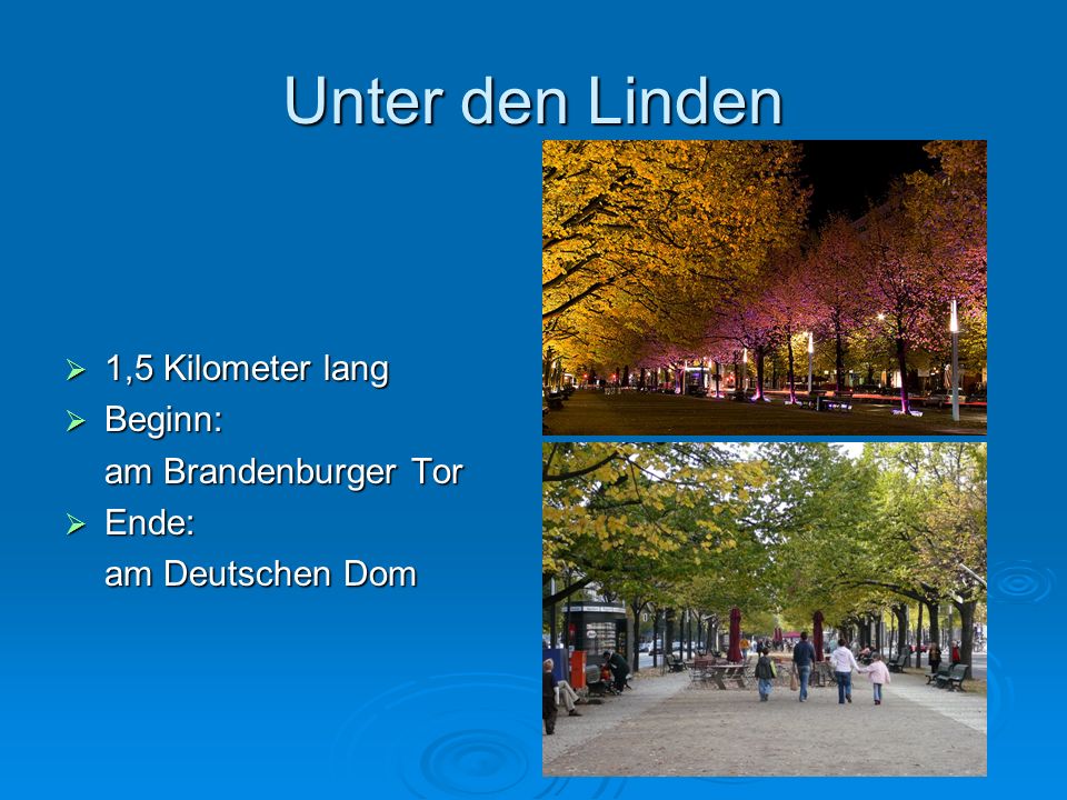 Unter den Linden 1,5 Kilometer lang Beginn: am Brandenburger Tor Ende: