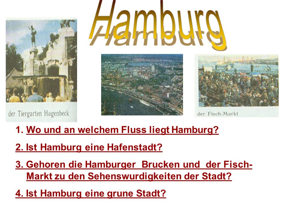 Hamburg Wo und an welchem Fluss liegt Hamburg