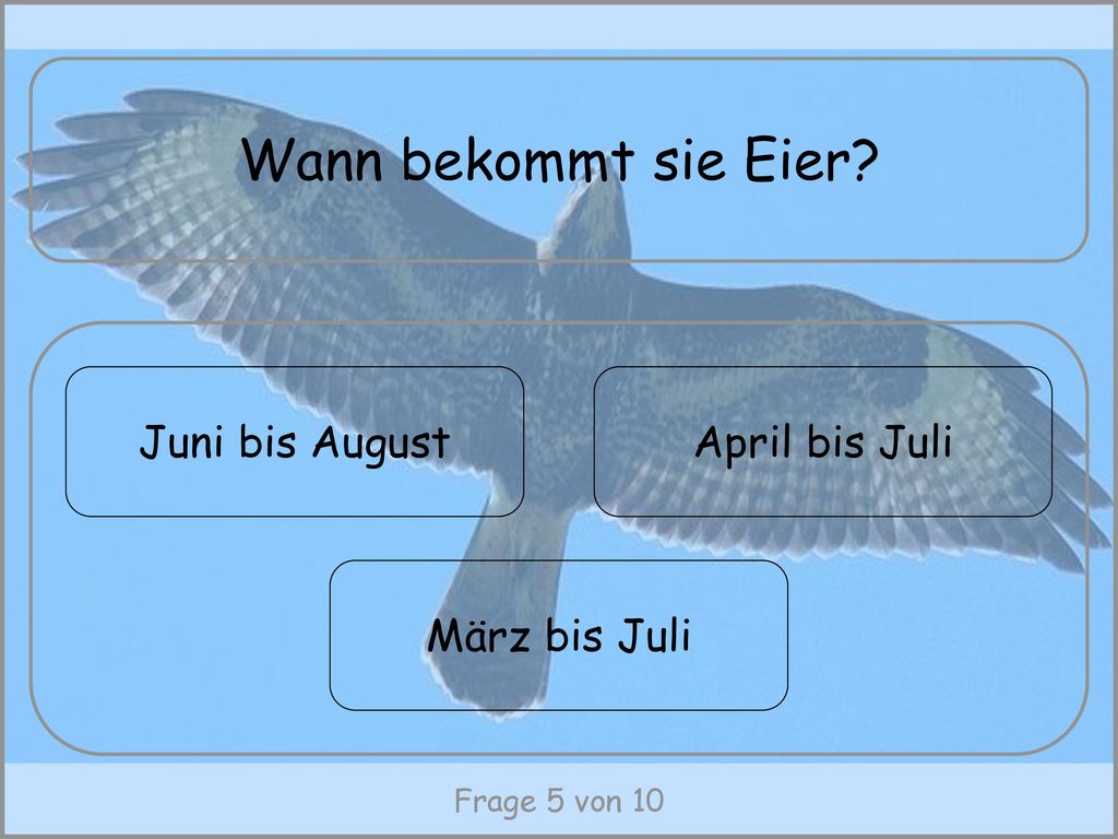 Wann bekommt sie Eier Juni bis August April bis Juli März bis Juli