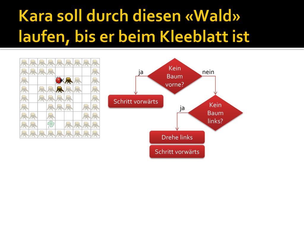 Kara soll durch diesen «Wald» laufen, bis er beim Kleeblatt ist