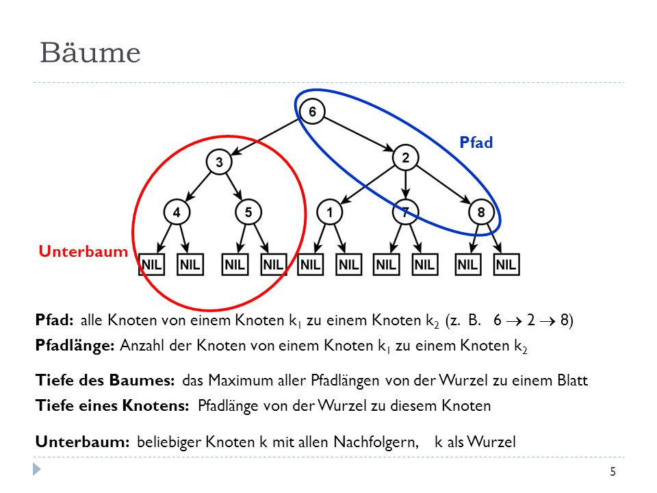 Bäume Pfad. Unterbaum. Pfad: alle Knoten von einem Knoten k1 zu einem Knoten k2 (z. B. 6  2  8)