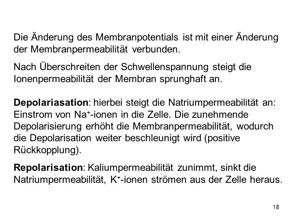 Die Änderung des Membranpotentials ist mit einer Änderung der Membranpermeabilität verbunden.