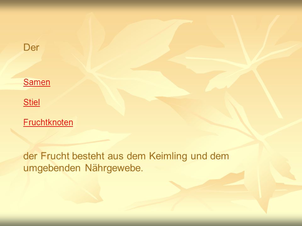 der Frucht besteht aus dem Keimling und dem umgebenden Nährgewebe.