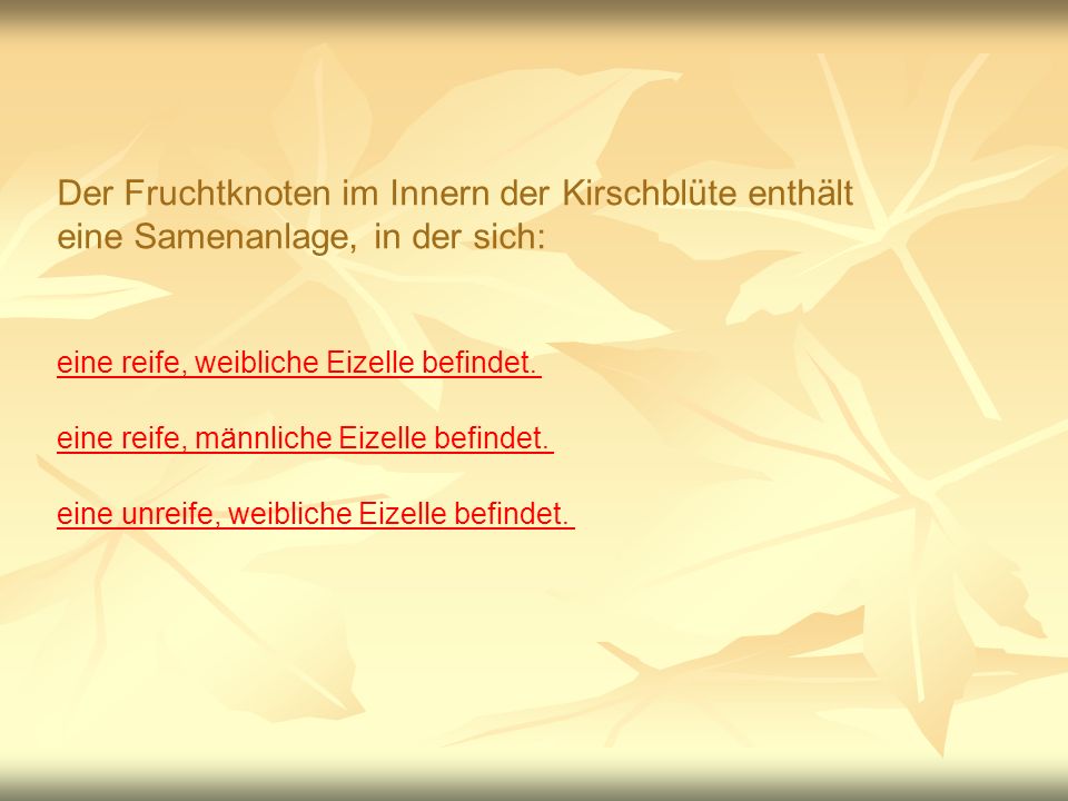 Der Fruchtknoten im Innern der Kirschblüte enthält eine Samenanlage, in der sich: