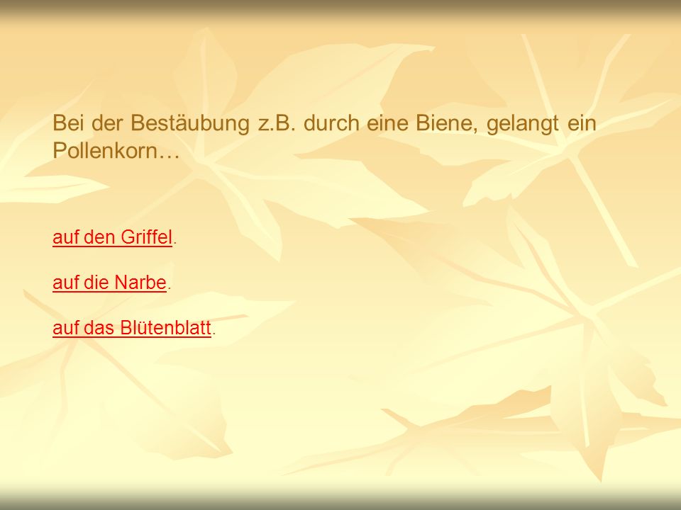 Bei der Bestäubung z.B. durch eine Biene, gelangt ein Pollenkorn…