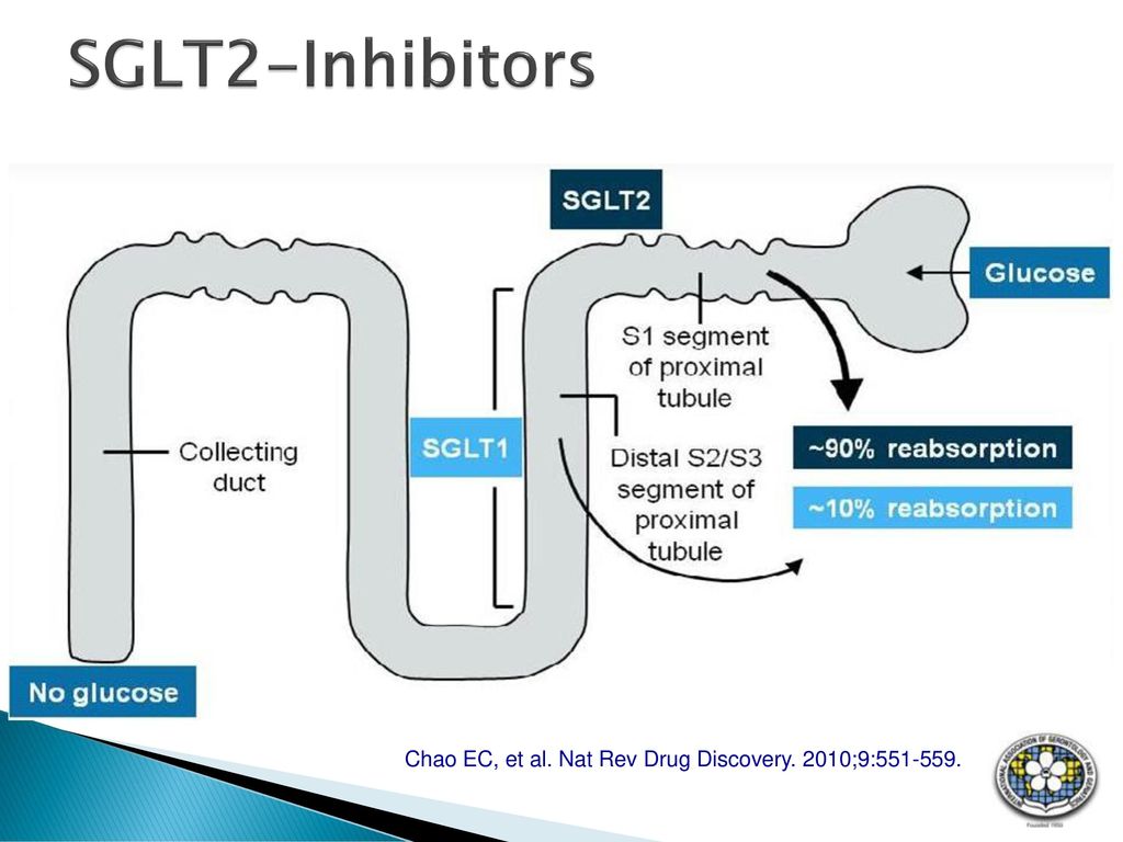 SGLT2-Inhibitors. 