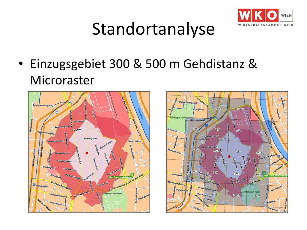 Standortanalyse Einzugsgebiet 300 & 500 m Gehdistanz & Microraster