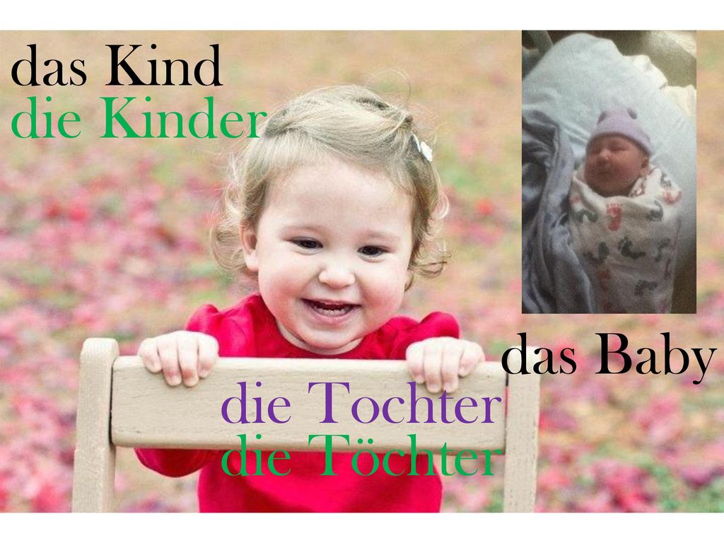 das Kind die Kinder das Baby die Tochter die Töchter