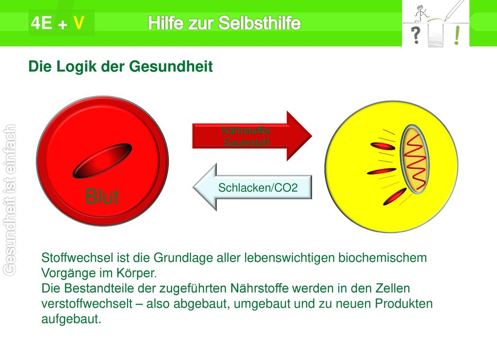 Blut 4E + V Hilfe zur Selbsthilfe Die Logik der Gesundheit