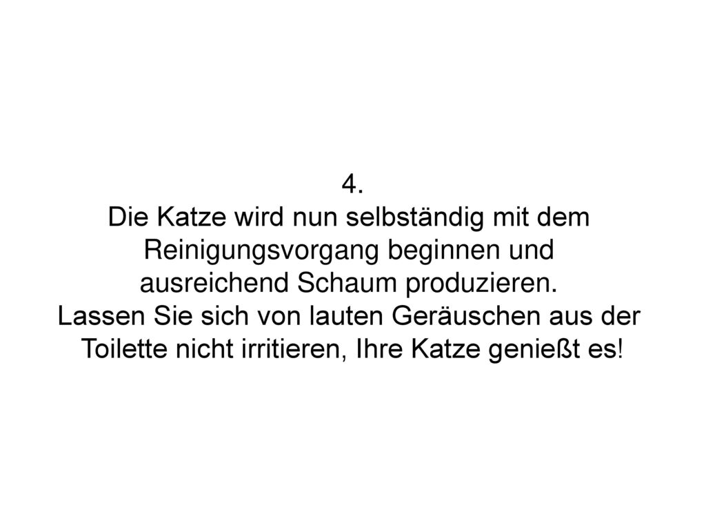 Die Katze wird nun selbständig mit dem Reinigungsvorgang beginnen und