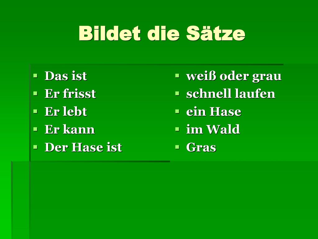 Bildet die Sätze Das ist Er frisst Er lebt Er kann Der Hase ist