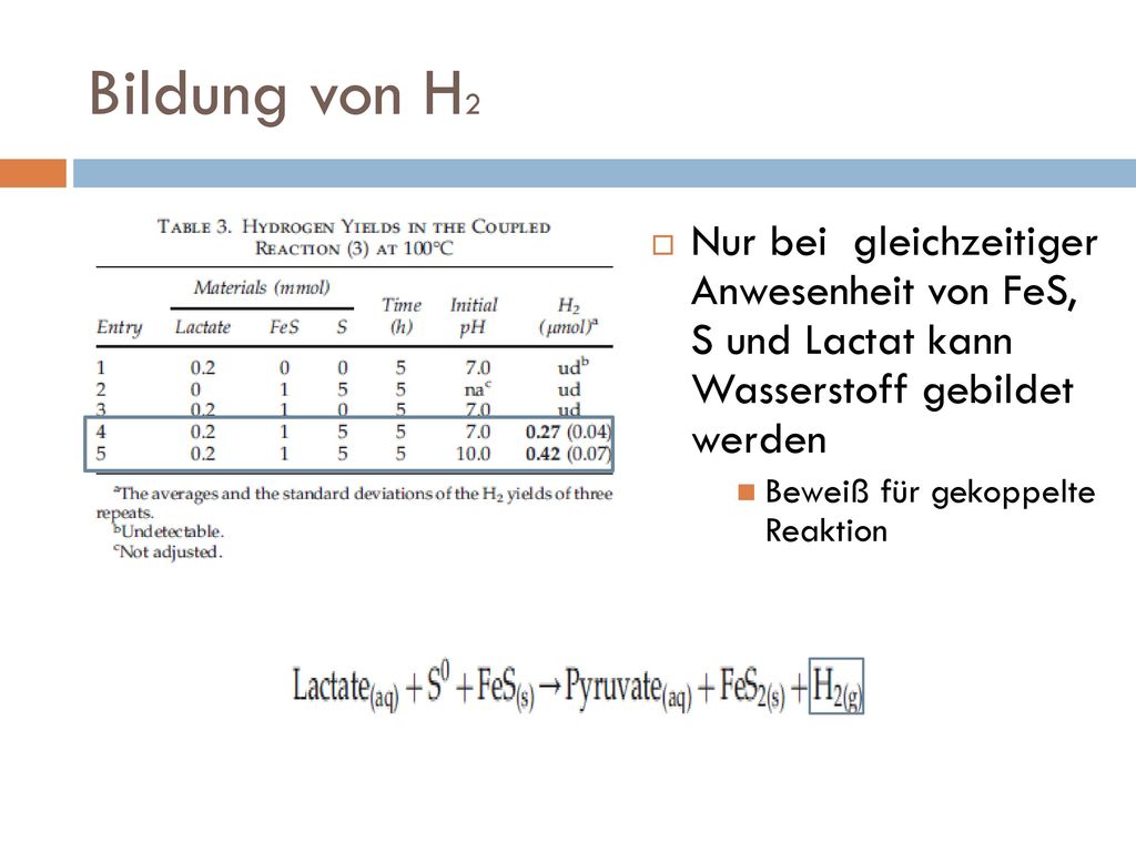 Bildung von H2 Nur bei gleichzeitiger Anwesenheit von FeS, S und Lactat kann Wasserstoff gebildet werden.