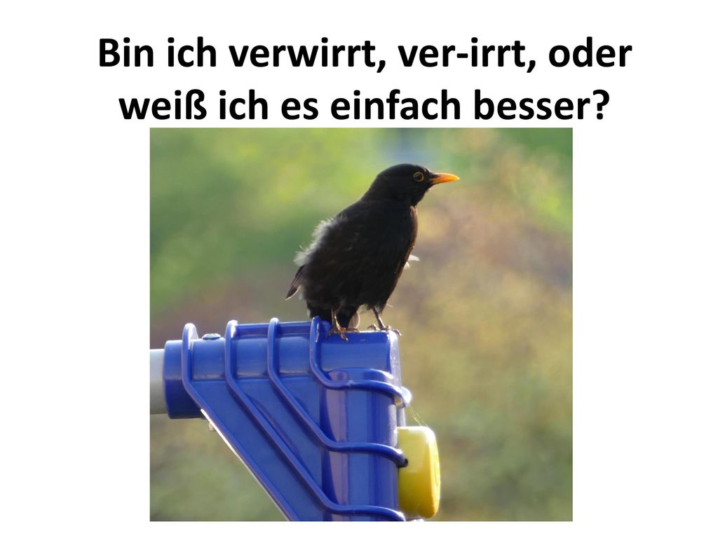 Bin ich verwirrt, ver-irrt, oder weiß ich es einfach besser