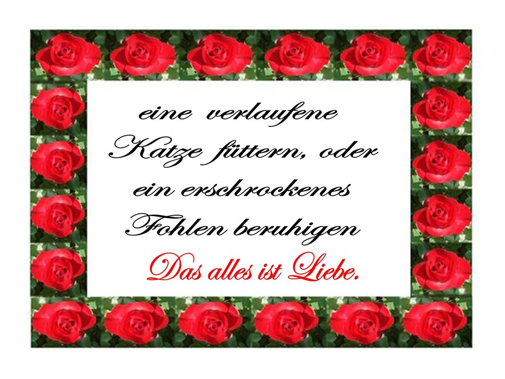 eine verlaufene Katze füttern, oder ein erschrockenes Fohlen beruhigen Das alles ist Liebe.