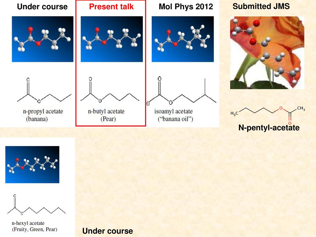 Under course Present talk Mol Phys 2012 Submitted JMS N-pentyl-acetate Under course
