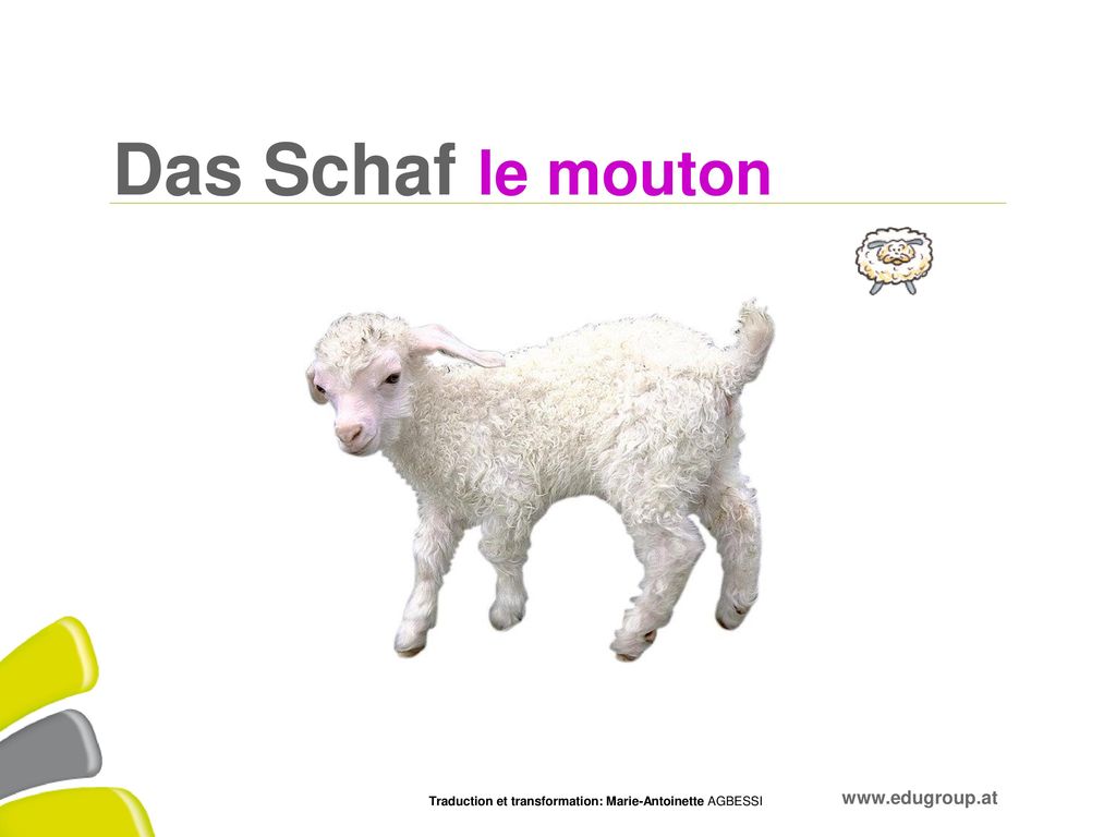 Das Schaf le mouton Traduction et transformation: Marie-Antoinette AGBESSI