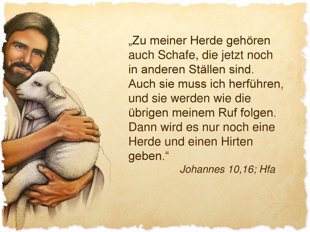 „Zu meiner Herde gehören auch Schafe, die jetzt noch in anderen Ställen sind. Auch sie muss ich herführen, und sie werden wie die übrigen meinem Ruf folgen. Dann wird es nur noch eine Herde und einen Hirten geben.
