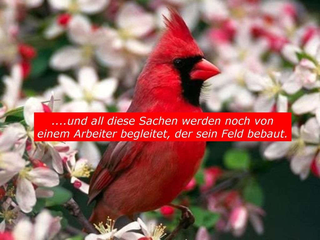 ....und all diese Sachen werden noch von einem Arbeiter begleitet, der sein Feld bebaut.