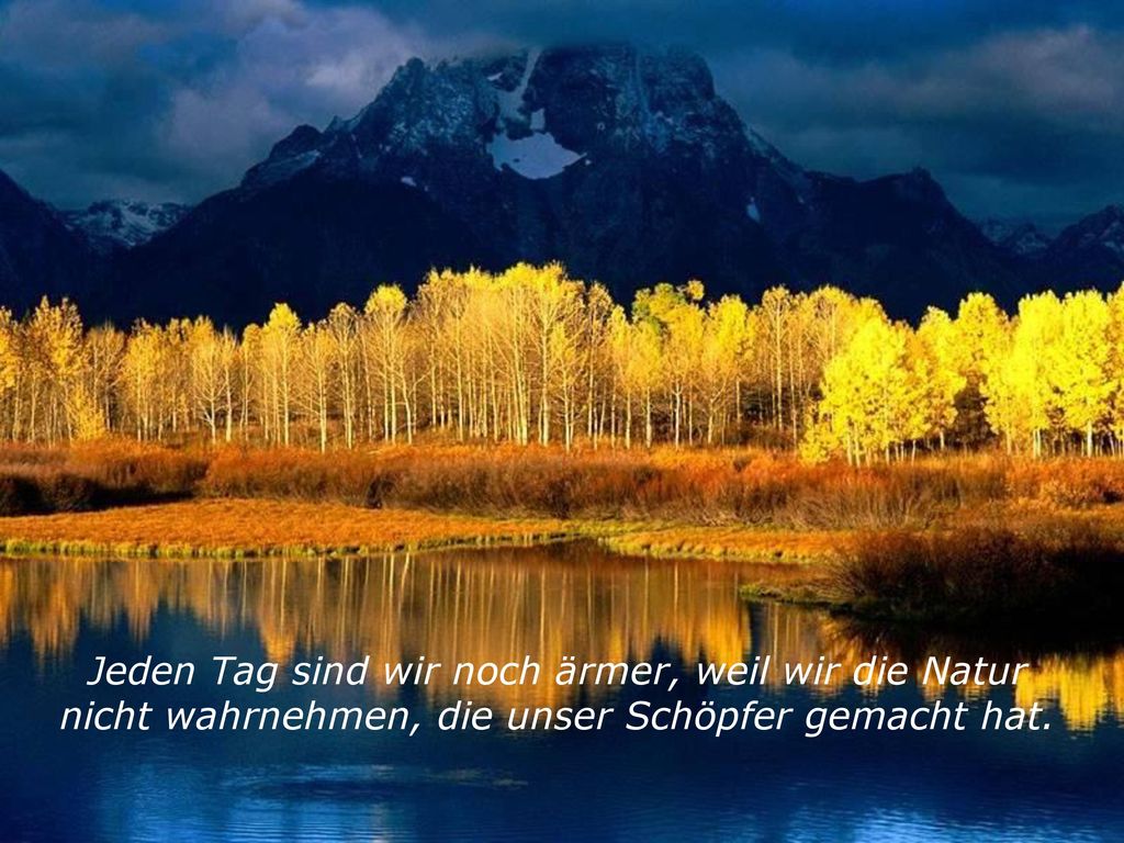 Jeden Tag sind wir noch ärmer, weil wir die Natur nicht wahrnehmen, die unser Schöpfer gemacht hat.