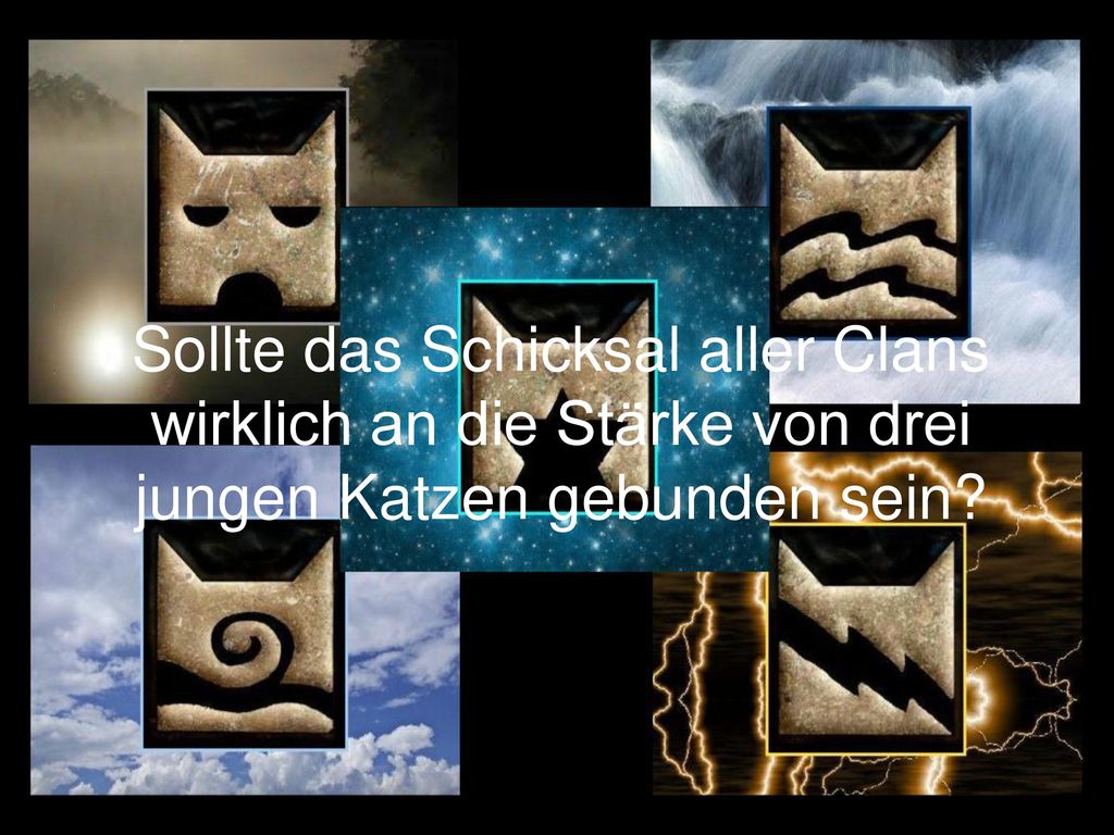 Sollte das Schicksal aller Clans wirklich an die Stärke von drei jungen Katzen gebunden sein