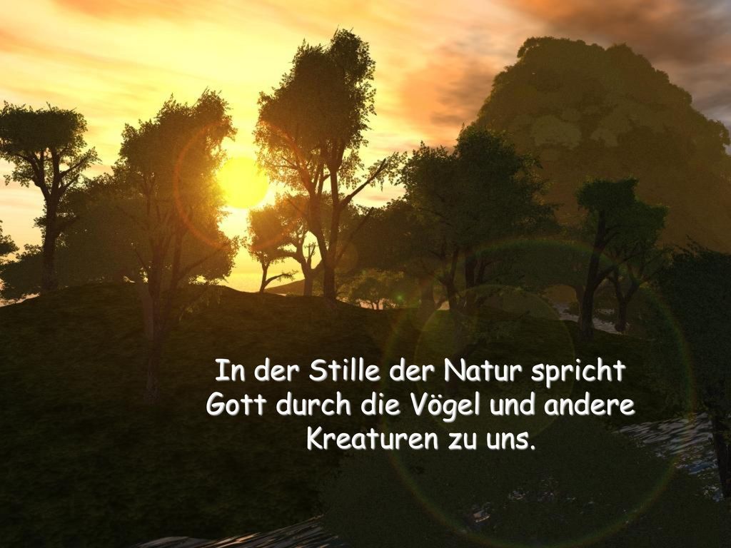 In der Stille der Natur spricht Gott durch die Vögel und andere Kreaturen zu uns.