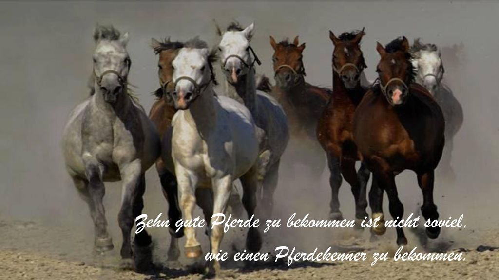 Zehn gute Pferde zu bekommen ist nicht soviel, wie einen Pferdekenner zu bekommen.