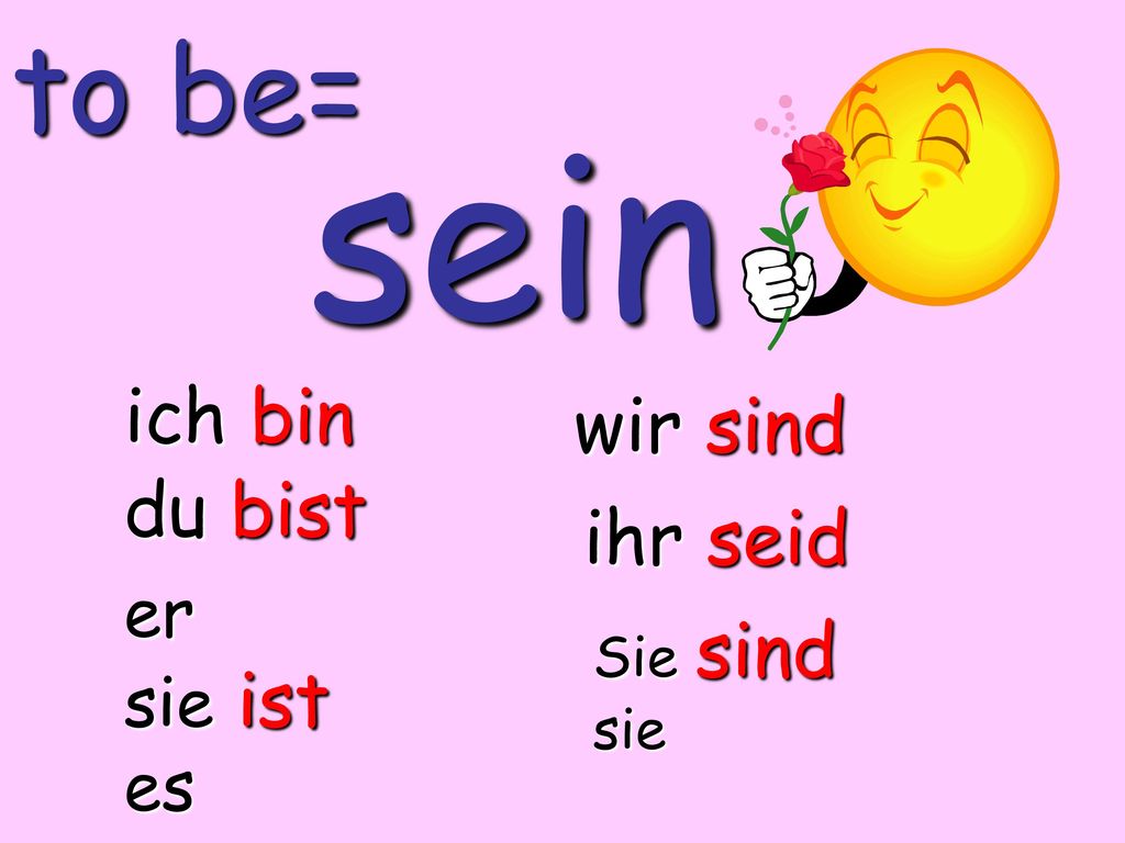 sein to be= ich bin wir sind du bist ihr seid er sie ist es