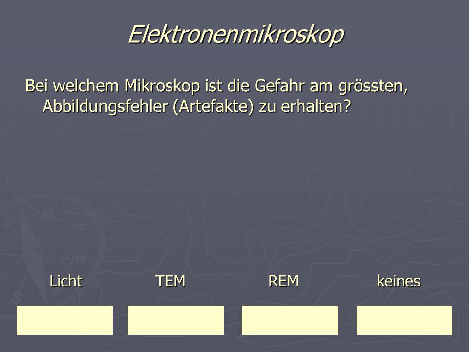 Elektronenmikroskop Bei welchem Mikroskop ist die Gefahr am grössten, Abbildungsfehler (Artefakte) zu erhalten