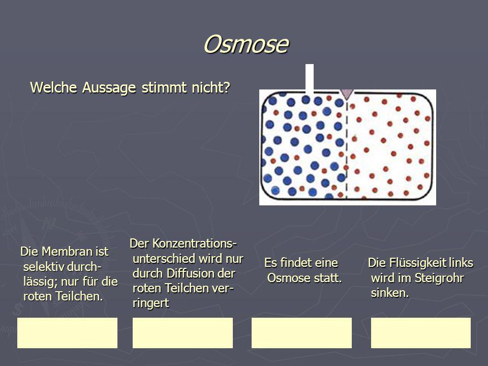 Osmose Welche Aussage stimmt nicht Der Konzentrations-unterschied wird nur durch Diffusion der roten Teilchen ver-ringert.
