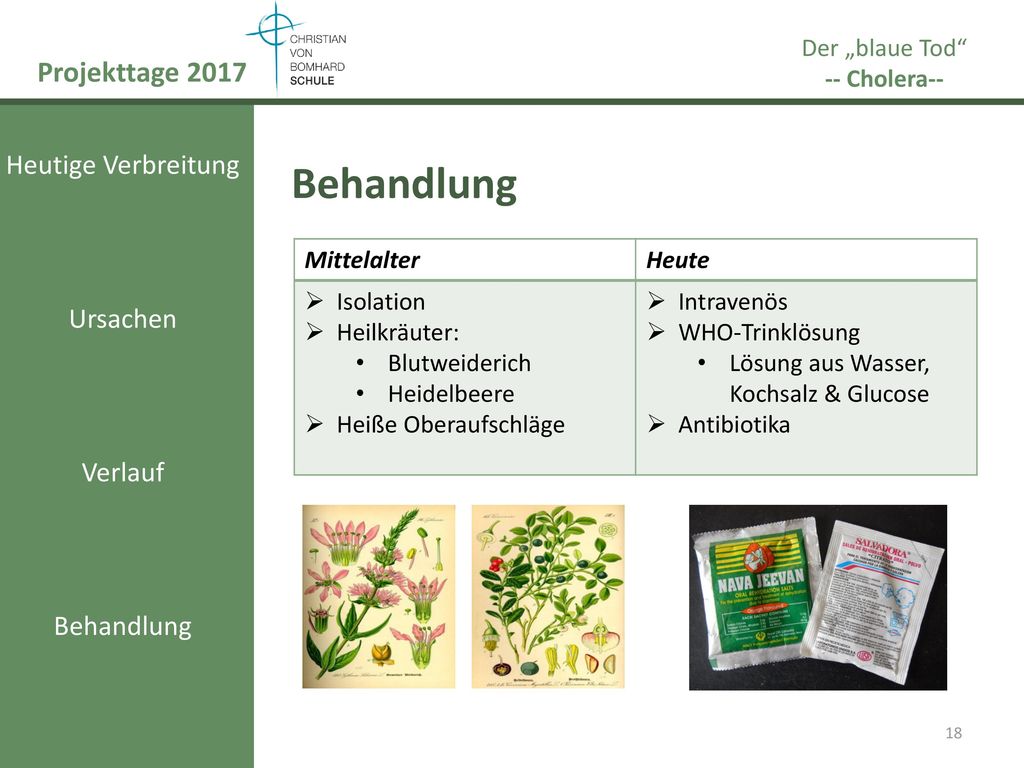 Behandlung Projekttage 2017 Heutige Verbreitung Ursachen Verlauf
