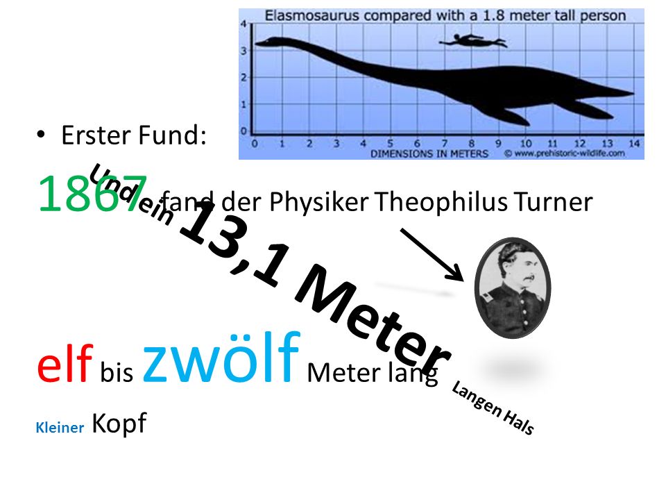 Und ein 13,1 Meter Langen Hals