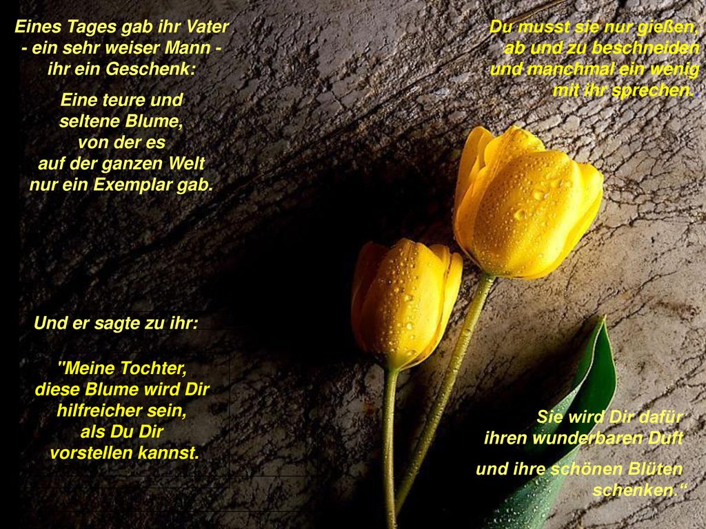 Eines Tages gab ihr Vater - ein sehr weiser Mann - ihr ein Geschenk: