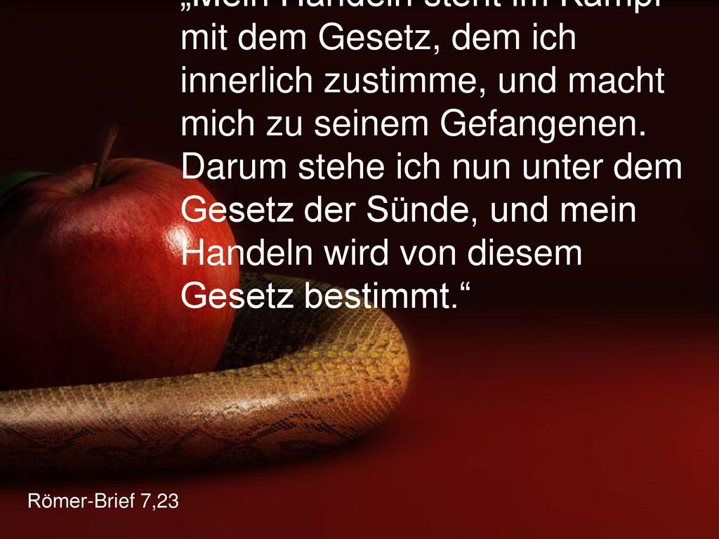 „Mein Handeln steht im Kampf mit dem Gesetz, dem ich innerlich zustimme, und macht mich zu seinem Gefangenen. Darum stehe ich nun unter dem Gesetz der Sünde, und mein Handeln wird von diesem Gesetz bestimmt.