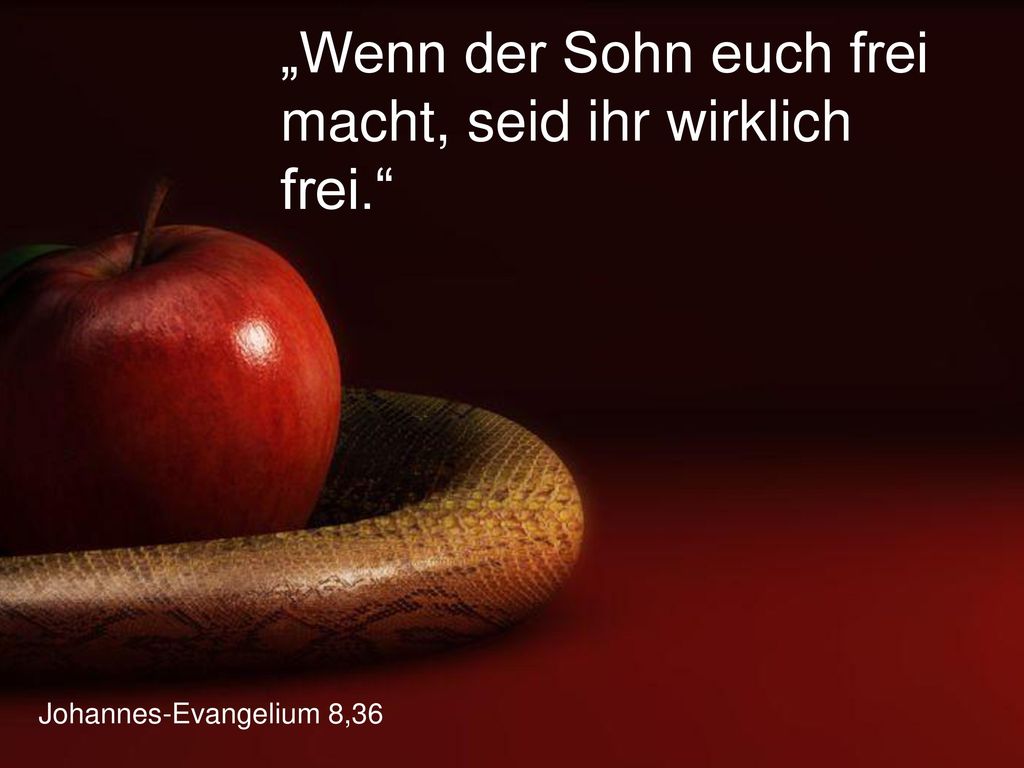 „Wenn der Sohn euch frei macht, seid ihr wirklich frei.