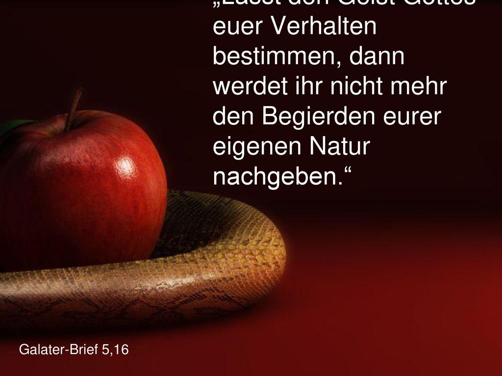 „Lasst den Geist Gottes euer Verhalten bestimmen, dann werdet ihr nicht mehr den Begierden eurer eigenen Natur nachgeben.