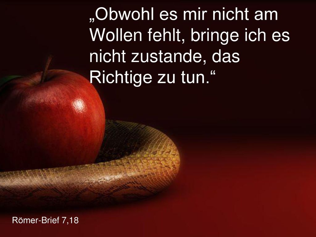 „Obwohl es mir nicht am Wollen fehlt, bringe ich es nicht zustande, das Richtige zu tun.