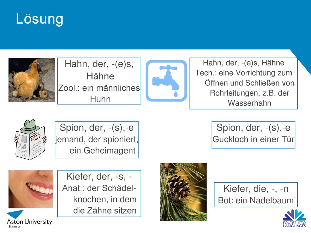 Lösung Hahn, der, -(e)s, Hähne Spion, der, -(s),-e Spion, der, -(s),-e