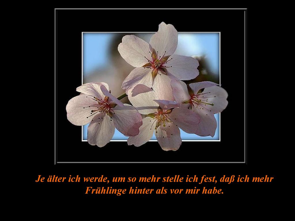 Je älter ich werde, um so mehr stelle ich fest, daß ich mehr Frühlinge hinter als vor mir habe.