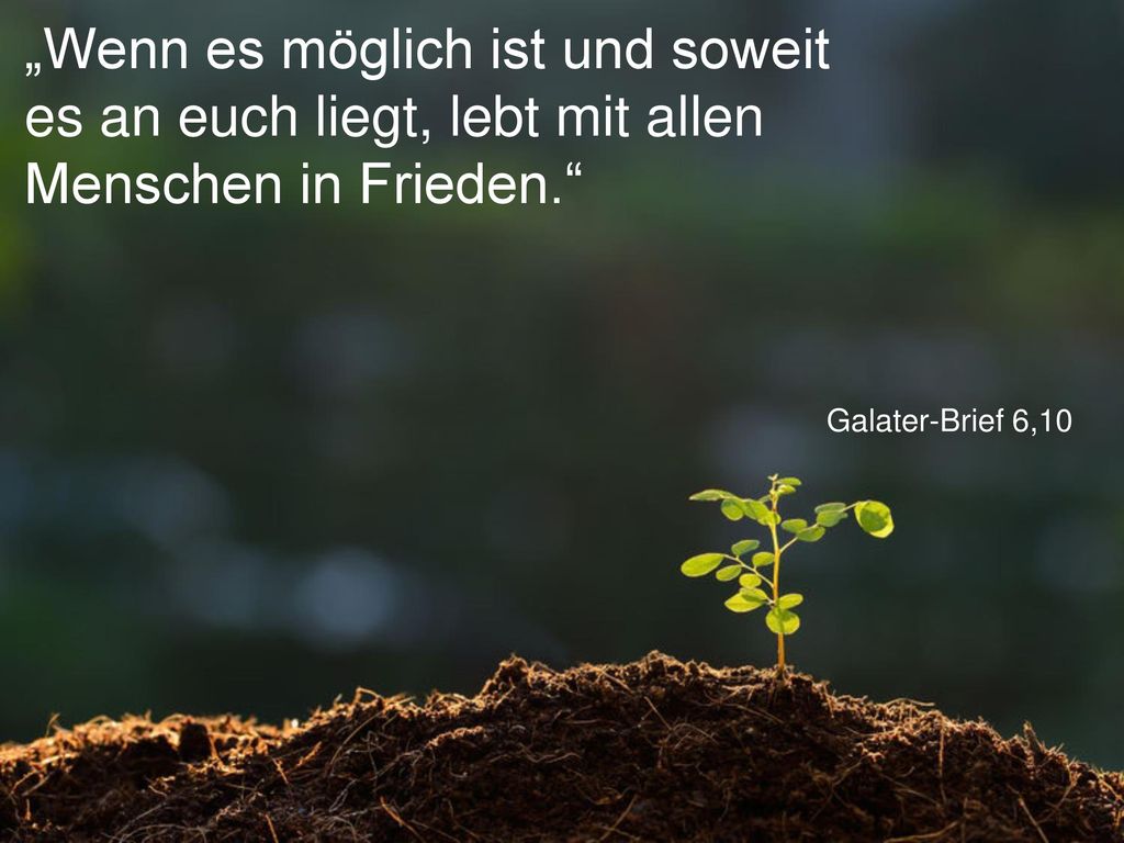 „Wenn es möglich ist und soweit es an euch liegt, lebt mit allen Menschen in Frieden.