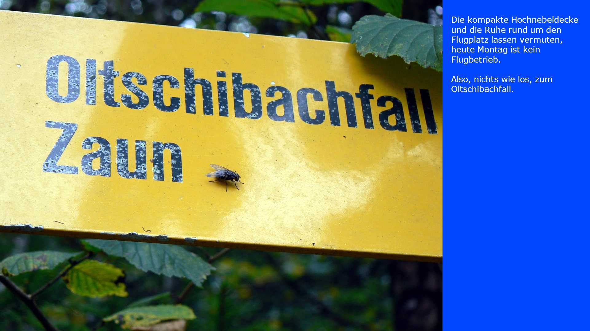 Die kompakte Hochnebeldecke und die Ruhe rund um den Flugplatz lassen vermuten, heute Montag ist kein Flugbetrieb.