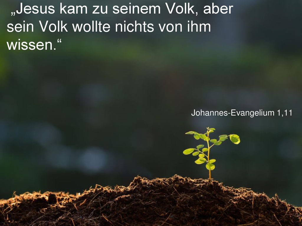 „Jesus kam zu seinem Volk, aber sein Volk wollte nichts von ihm wissen