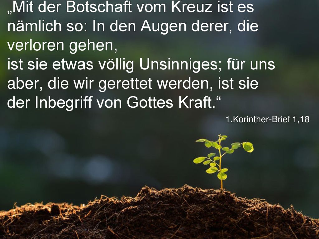 „Mit der Botschaft vom Kreuz ist es nämlich so: In den Augen derer, die verloren gehen, ist sie etwas völlig Unsinniges; für uns aber, die wir gerettet werden, ist sie der Inbegriff von Gottes Kraft.