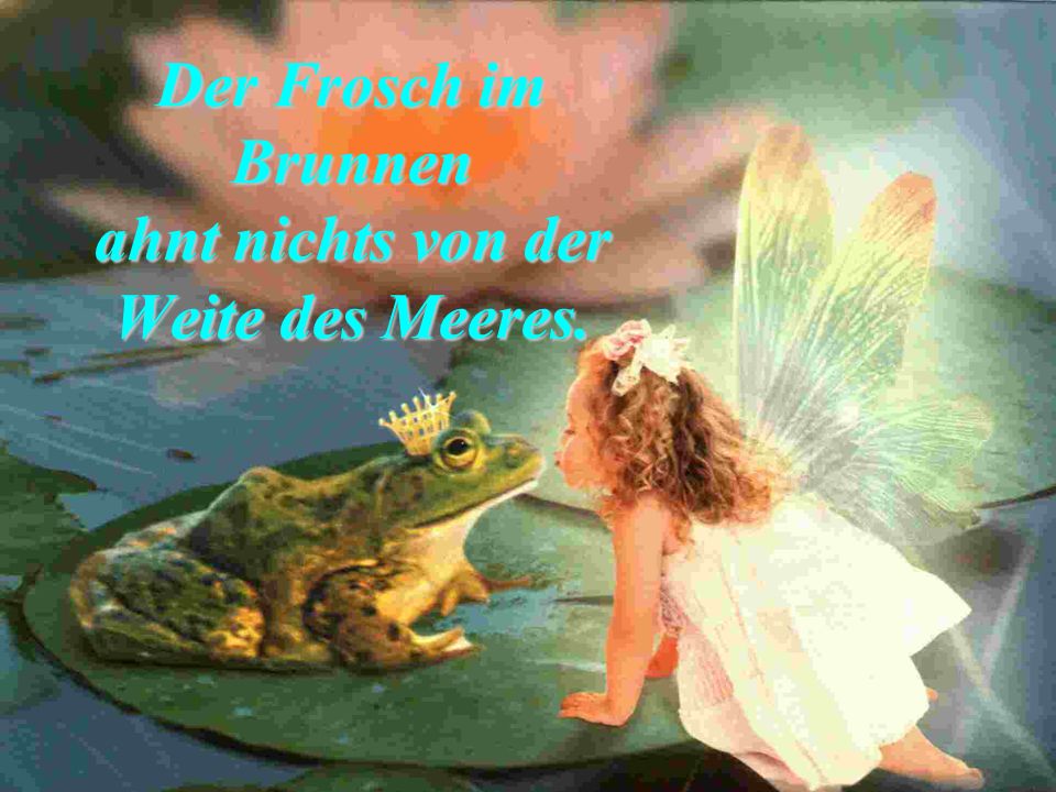 Der Frosch im Brunnen ahnt nichts von der Weite des Meeres.