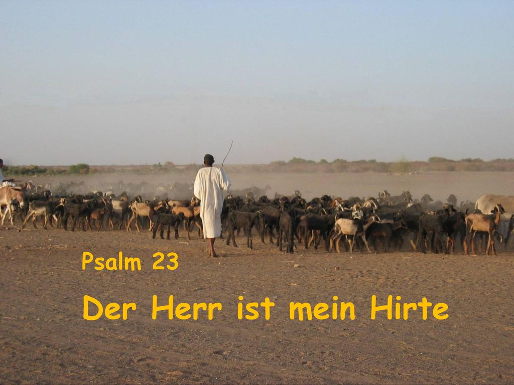 Der Herr ist mein Hirte Psalm 23 Hinweis zu dieser Psalmmeditation: